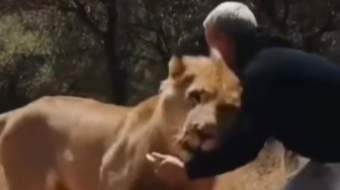 Animals Understand the Universal Language of Love Very Well