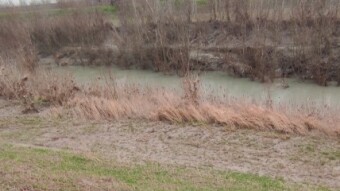 River hiking - River Panaro (Northern Italy) - part five (A plain view)