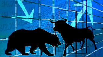 When are we going to see the bulls again?