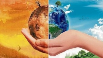 Climate. 3 "Responsible" actions to save the planet: