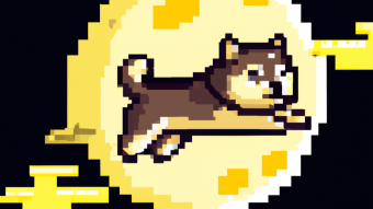 Dogecoin Moon?