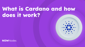 What Is Cardano? A Beginner’s Guide