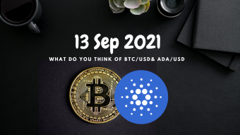 What do you think of Bitcoins(BTC) & Cardano (ADA) in the recent crash? Let's look at them in general overview and at their charts