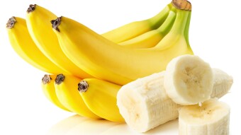 BANANO: Has Satoshi's Vision Finally Been Fulfilled?