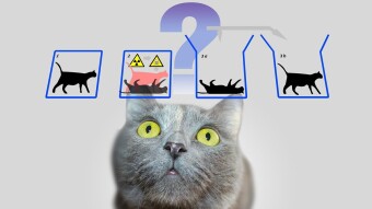 DOGE and the Schrödinger's cat - Should you buy DOGE and can it hit $1?