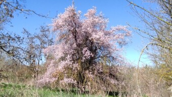 Countryside hiking - Near the Torrente Crostolo (Northern Italy)