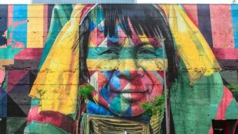 Culture in Crypto 2024