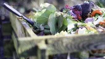 Composting at home with worms