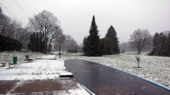 Today is winter, a little brighter and different - My Actifit Report Card: Derecge 15 2024