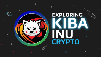 What Is Kiba Inu Crypto: A Brief Review