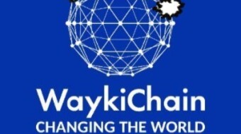 WaykiChain is an innovative technology company focusing on blockchain technology development