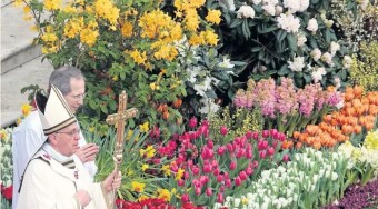 How St Peter’s is given the Dutch touch with its Easter flowers