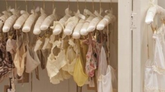 Lingerie Closet