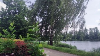 Warm, pleasant Tuesday - My Actifit Report Card: June 17, 2025