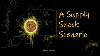 A Supply Shock Scenario