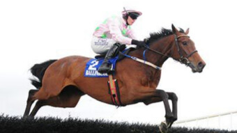 Livelovelaugh (4.10 Leopardstown, 7 Feb)