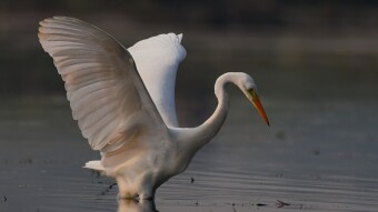 Some pictures near the lake