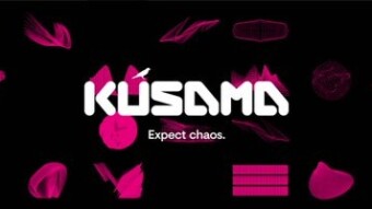 Kusama - Polkadot's Wild Cousin!