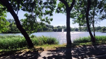 Saturday spent mostly at the pond, but intense - My Actifit Report Card: June 28 2025