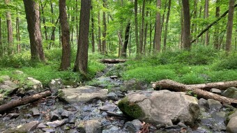 Hiking at the Sourland Mountain Reserve