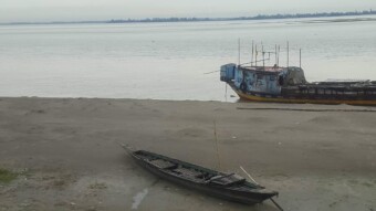 Whispers of the Riverside, A Glimpse into the Life Along the Water