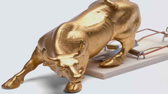 The next two weeks will be a bull trap for the market