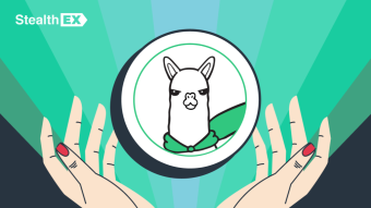 Alpaca Finance: A DeFi Innovator in Lending and Yield Farming