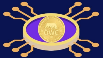 Secure and efficient payments: The features and benefits of the Oduwacoin platform