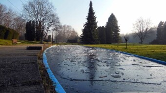 A beautiful December Monday, lots of light and a bit of warmth - My Actifit Report Card: December 30, 2024