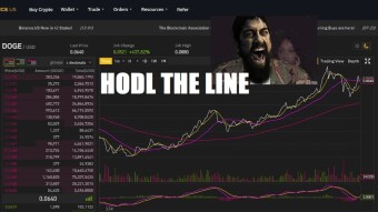 In DOGE we Trust