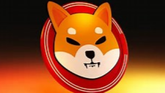 SHIBA Inu Whales Migrate elsewhere while BTC Downfalls to $85,000
