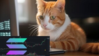 Binance Report Reveals Crypto Trends for June