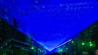 Vivid Light Festival: Sydney (AUSTRALIA)