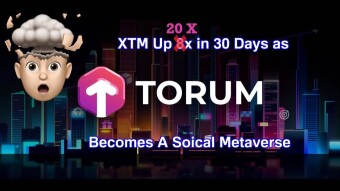 TORUM -This early Metaverse made me so much Money but of course it´s about the Tech