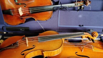 I really should get another violin...