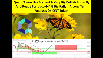 Quant Token Has Formed A Very Big Bullish Butterfly And Ready For Upto 444% Big Rally | A Long Term Analysis On QNT Token