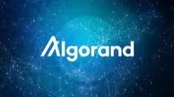 Algorand FTW