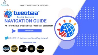 Tweebaa Navigation Guide