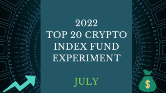 EXPERIMENT - Tracking Top 20 Cryptos Of 2022 - Month SEVEN- DOWN 64%