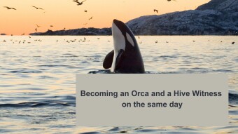 Becoming an Orca and a Hive Witness on the same day !
