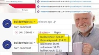 find Freedom on Blurt Blurt.blog At Bilpcoin, we do not chase clout. We do not whisper in backrooms. We do not bow. WE MUST STOP THE BUILDAWHALE SCAM FARM ON HIVE