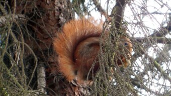 A slight cooling and a pleasant walk without crowds - My Actifit Report Card: April 10 2024