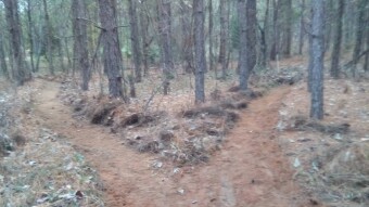 Apocalyptic Homesteading (Day 8)