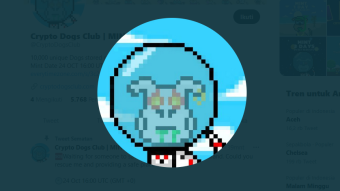 10,000 Unique CryptoDogs Waiting For You
