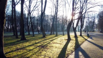 A beautiful December holiday day - My Actifit Report Card: December 26, 2024