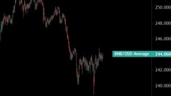 What is a short squeeze + BNB situation 😧