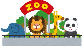 The Zoo's Portfolios - Month 1
