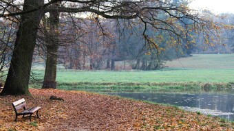 Autumn walk