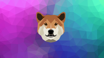 Dogecash – The newest Doge in the family