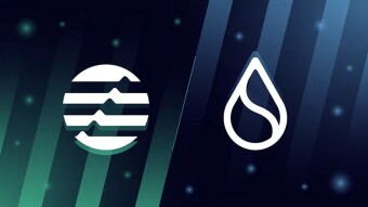 CoinEx｜Cadenas públicas basadas en Move: Sui vs. Aptos